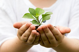 חומרים אקולוגיים לכביסה