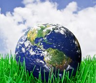 כלים מתכלים וידידותיים לסביבה