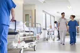 ניקוי וחיטוי משקי