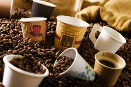 כוסות וכלים מנייר