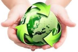 שקיות מתכלות