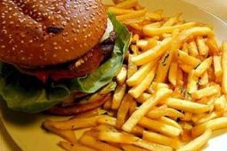 מוצרים יעודיים לרשתות המבורגר