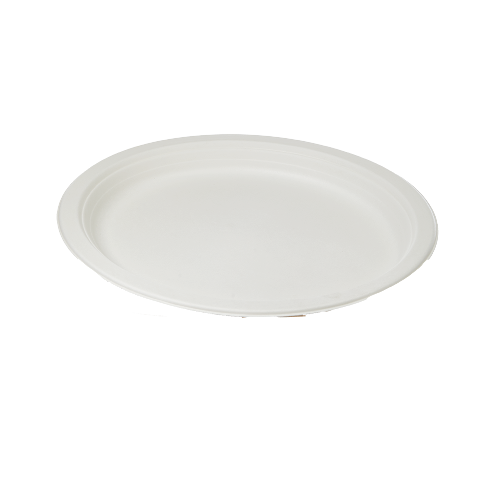 צלחת אובלית גדולה מתכלה