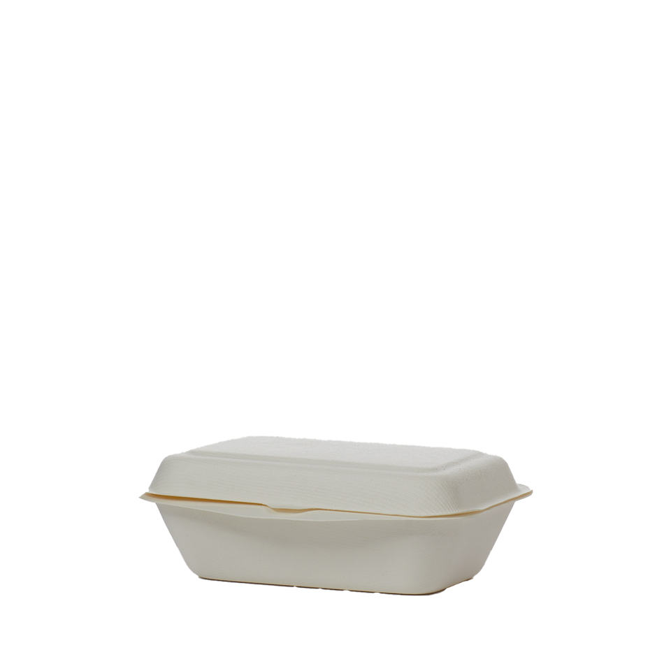 לאנץ בוקס מתכלה קטן