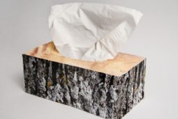 ממחטות טישו